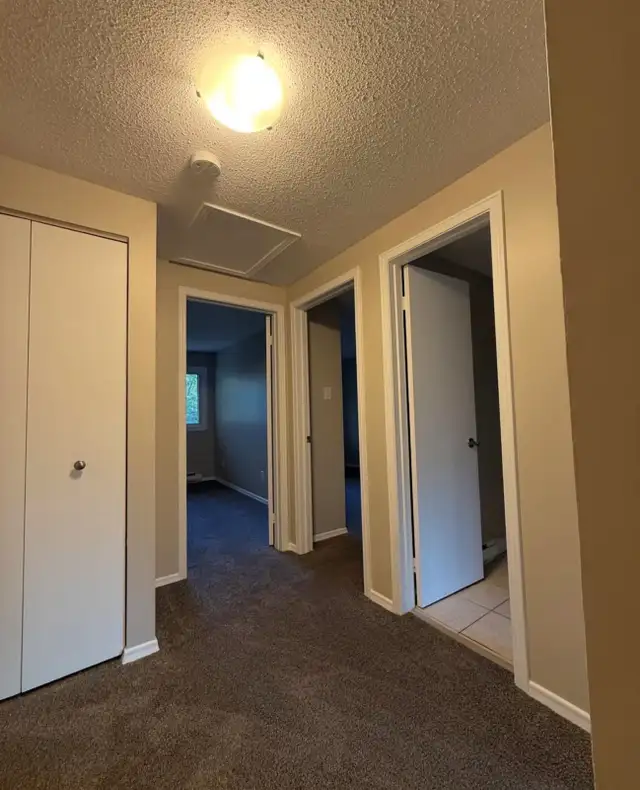 Professional House Painting/Affordable prices/Free estimates in Painters & Painting in London - Image 11