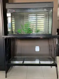 Aquarium Tank with Stand, Filter and Heater