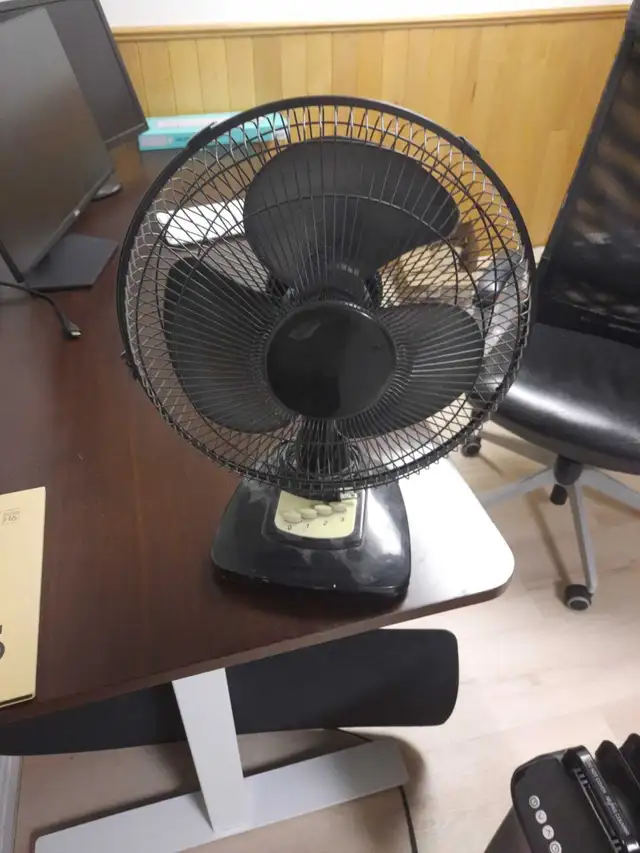 Table Fan in Indoor Lighting & Fans in Ottawa - Image 3