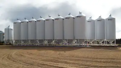 FARM FEED Chicken feed BRING YOUR BARRELS OR TOTES WE FILL YOU SAVE ! BULK FEEDS ALL CHICKEN FEEDS ,...