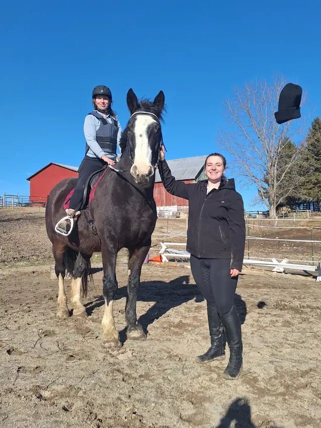 Riding Lessons- Beginners. No experience needed! All ages!438520453897267201