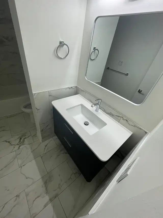 bathroom renovation491796809657231365