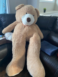 6 Foot Teddy for sale
